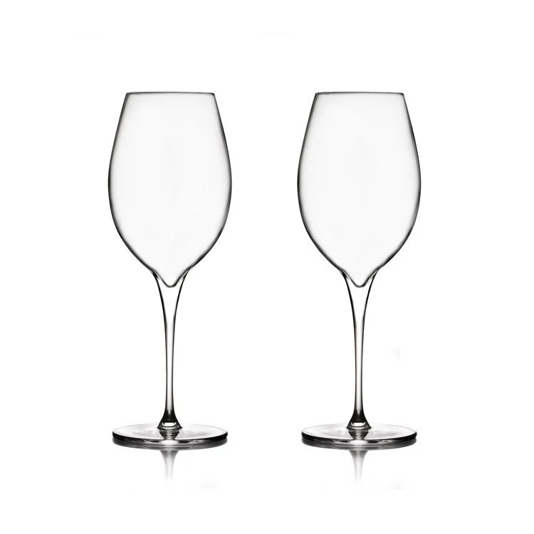 Lightweight picnic tumbler-Vie Pinot Grigio Wine Glasses Set of 2