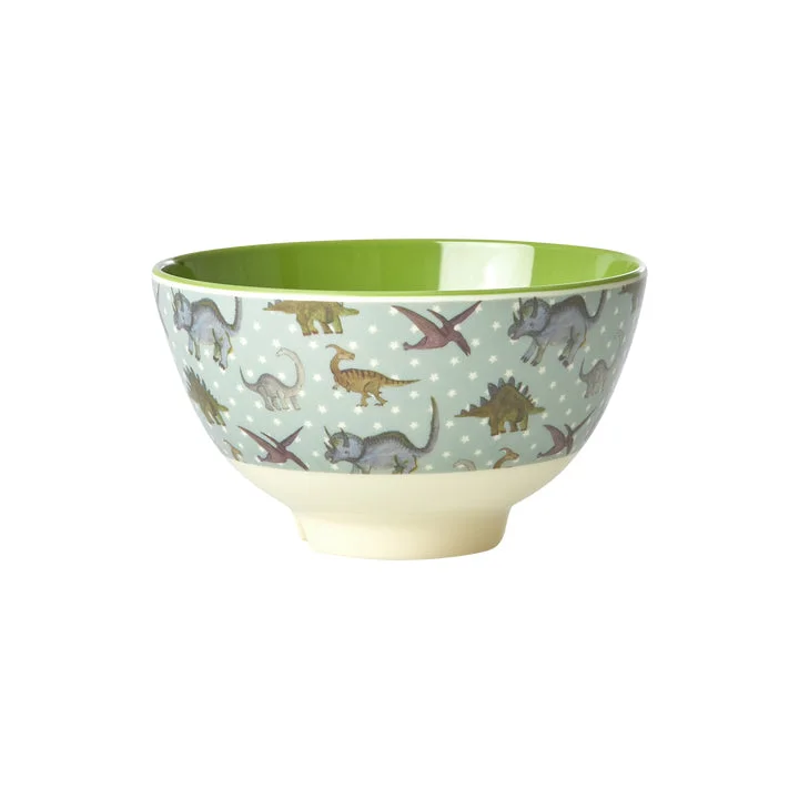 Sleek copper finish spoon-Rice DK Melamine Bowl with New Dino Print - Small - 300ml