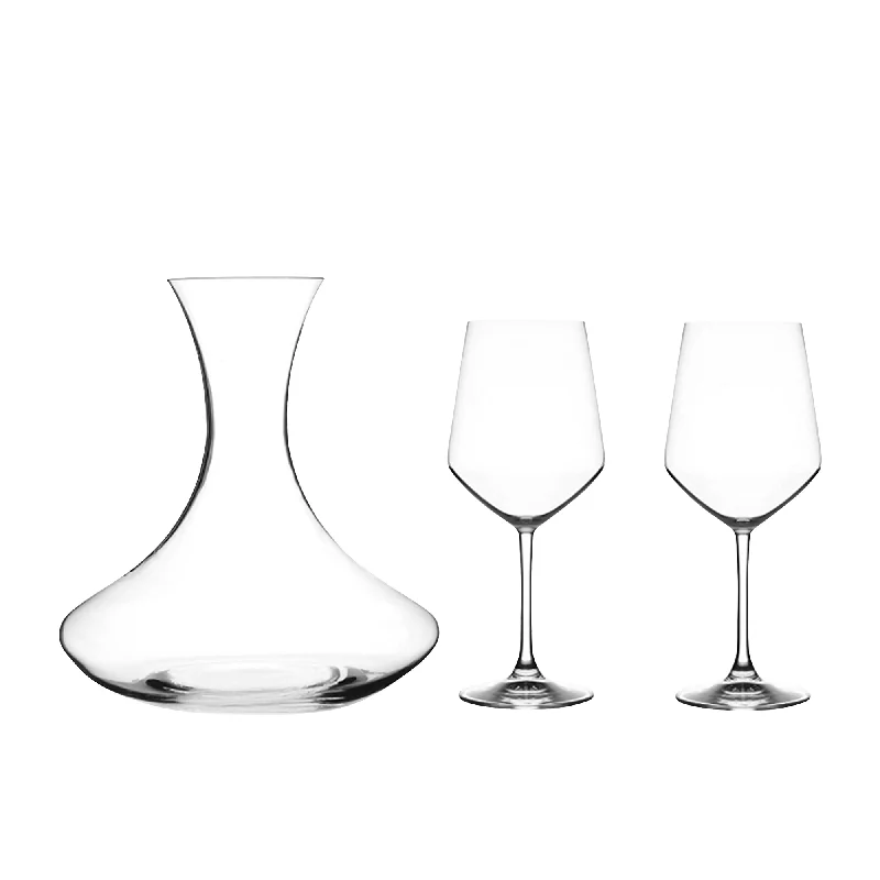 Lightweight picnic tumbler-RCR Crystal Aria Invino Decanter and Wine Glass Set 3pc