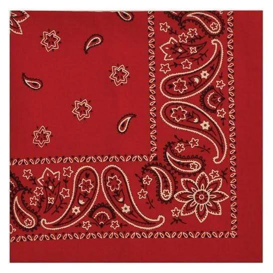 Artisan-crafted salad bowl-Red Bandana Napkin Set of 4