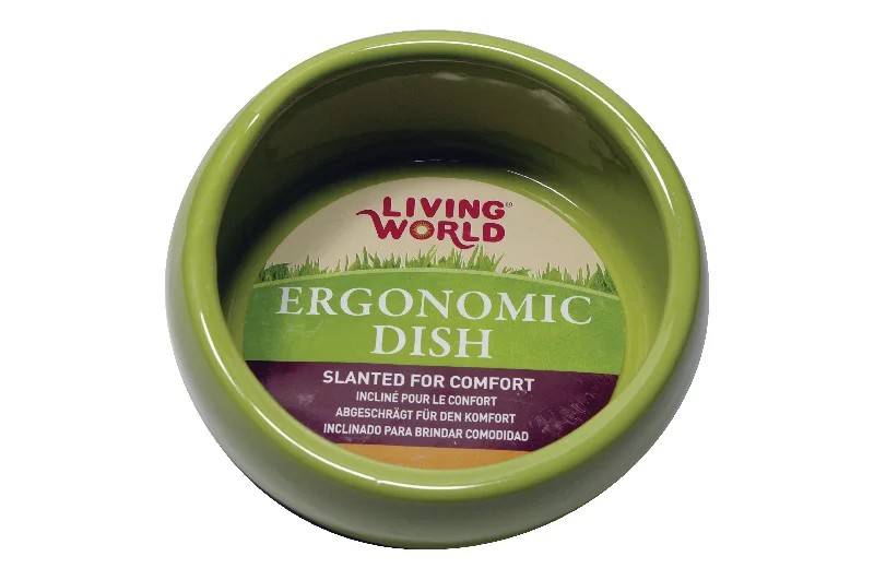 Elegant crystal serving bowl-Living World - Ceramic Pet Dish (Green) (420ml)