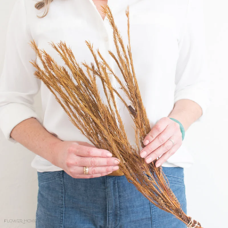 Minimalist ceramic coasters-Dried Mustard Asparagus Fern