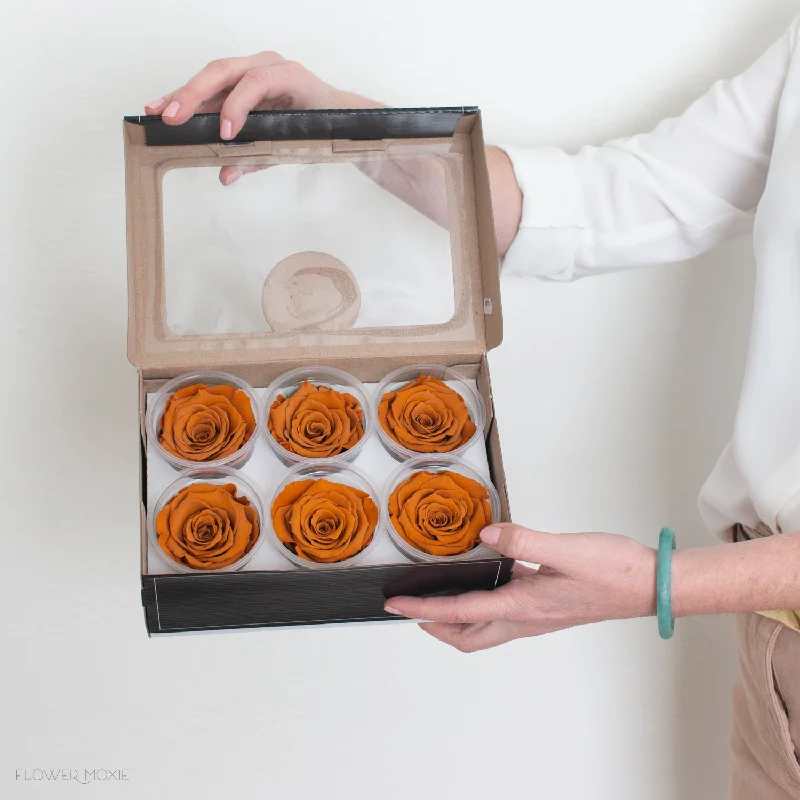 Minimalist wall mirror-Terracotta Preserved Roses