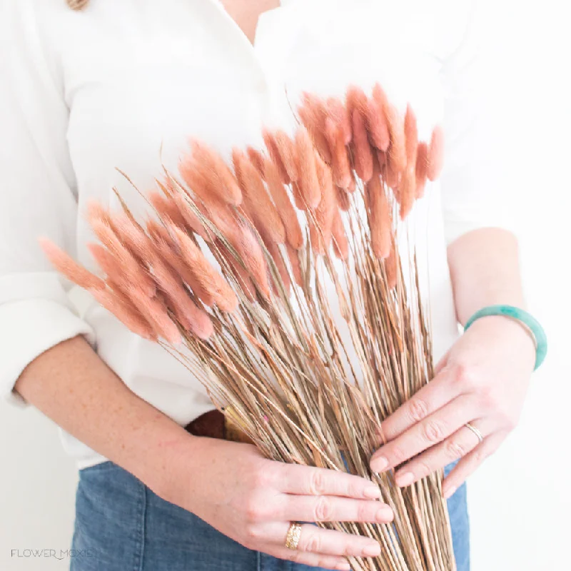 Abstract canvas wall art-Dusty Rose Pink Dried Bunny Tail Grass