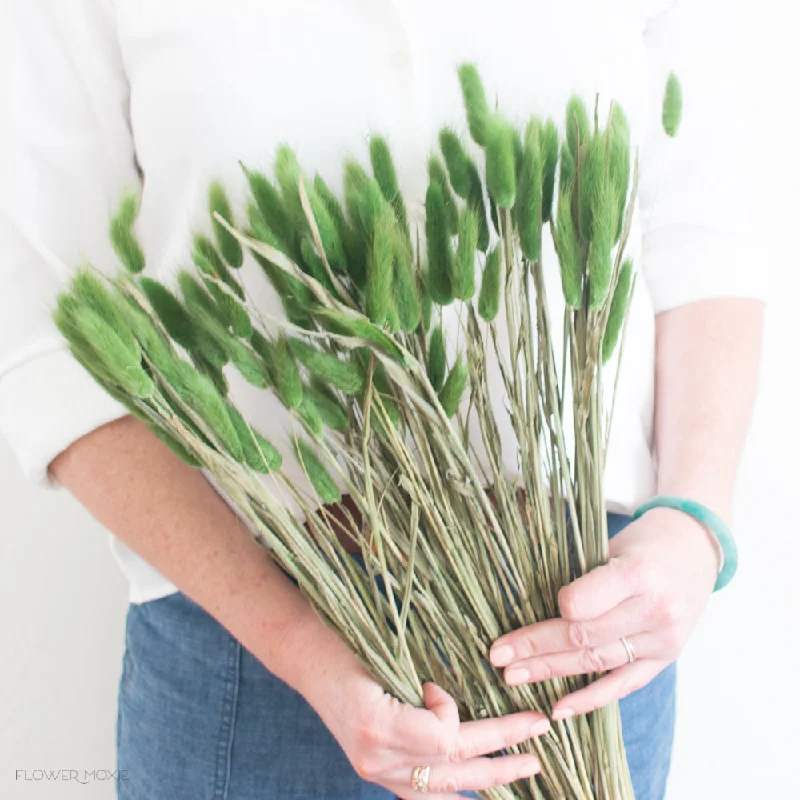 Bright neon wall sign-Green Dried Bunny Tail Grass