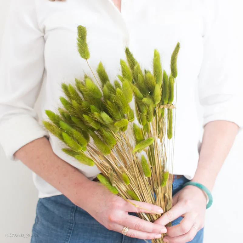 Modern LED floor lamp-Moss Green Dried Bunny Tail Grass