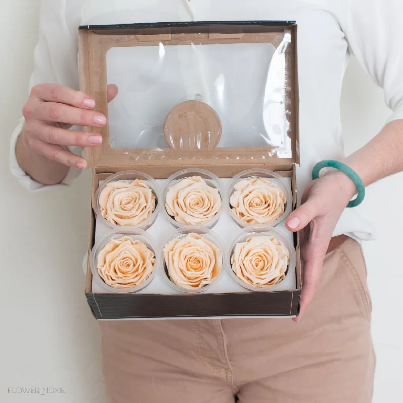 Hand-painted wall plaque-Champagne Preserved Roses