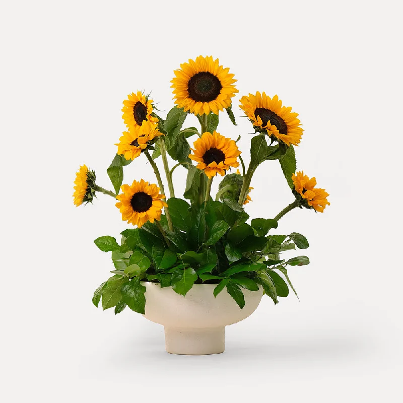 Plush area rug-Sunflower arrangement in white ceramic vase