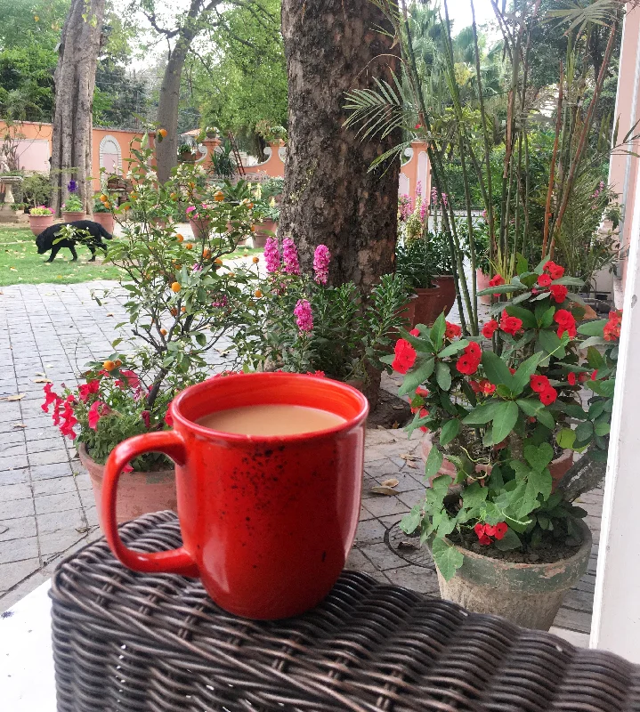 Sleek copper finish cup-Bright orange Gloria mug.