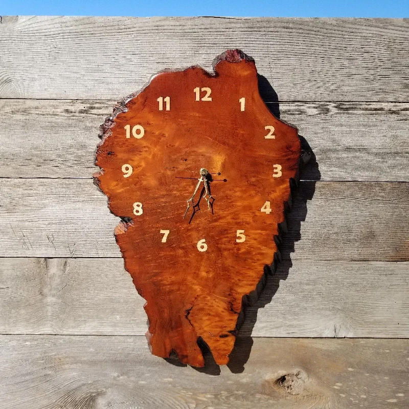 Sleek stainless steel vase-Wood Wall Clock Redwood Burl Hanging Art Rustic Slab #491 Anniversary Gift One of a Kind Unique Gift Handmade LG