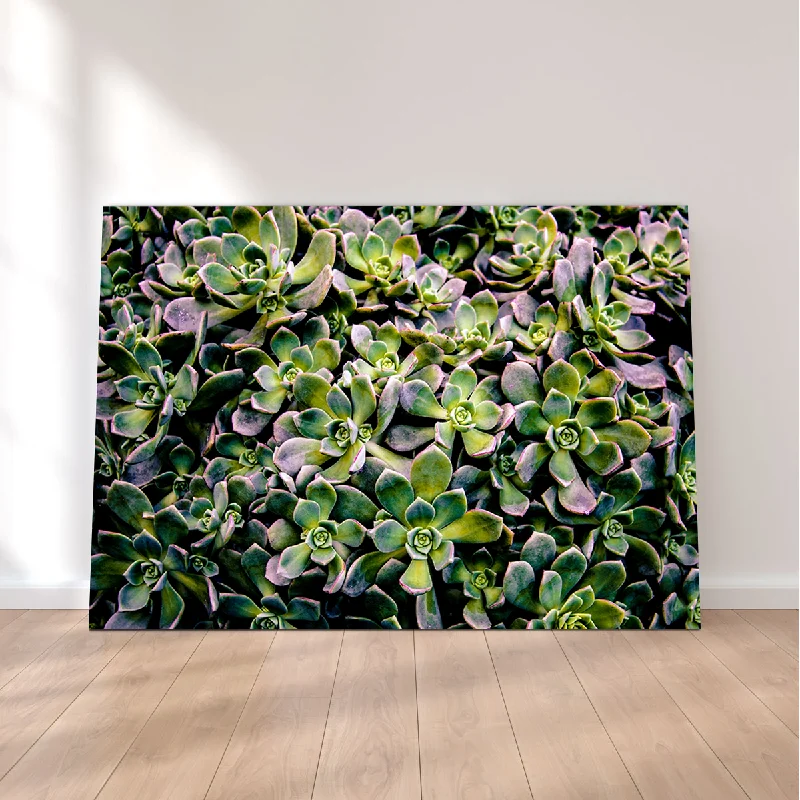 Modern ombre wall art-Succulents